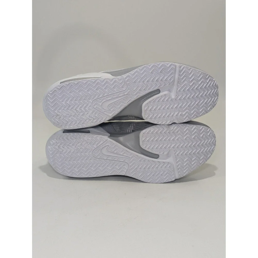 Nike‎ LeBron Witness 6 TB Wolf Grey Basketball DO9843-001 Men's 2022 Size 18
